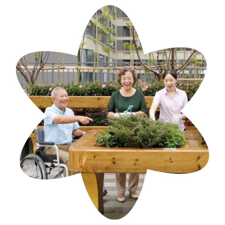 Venus Care Village
